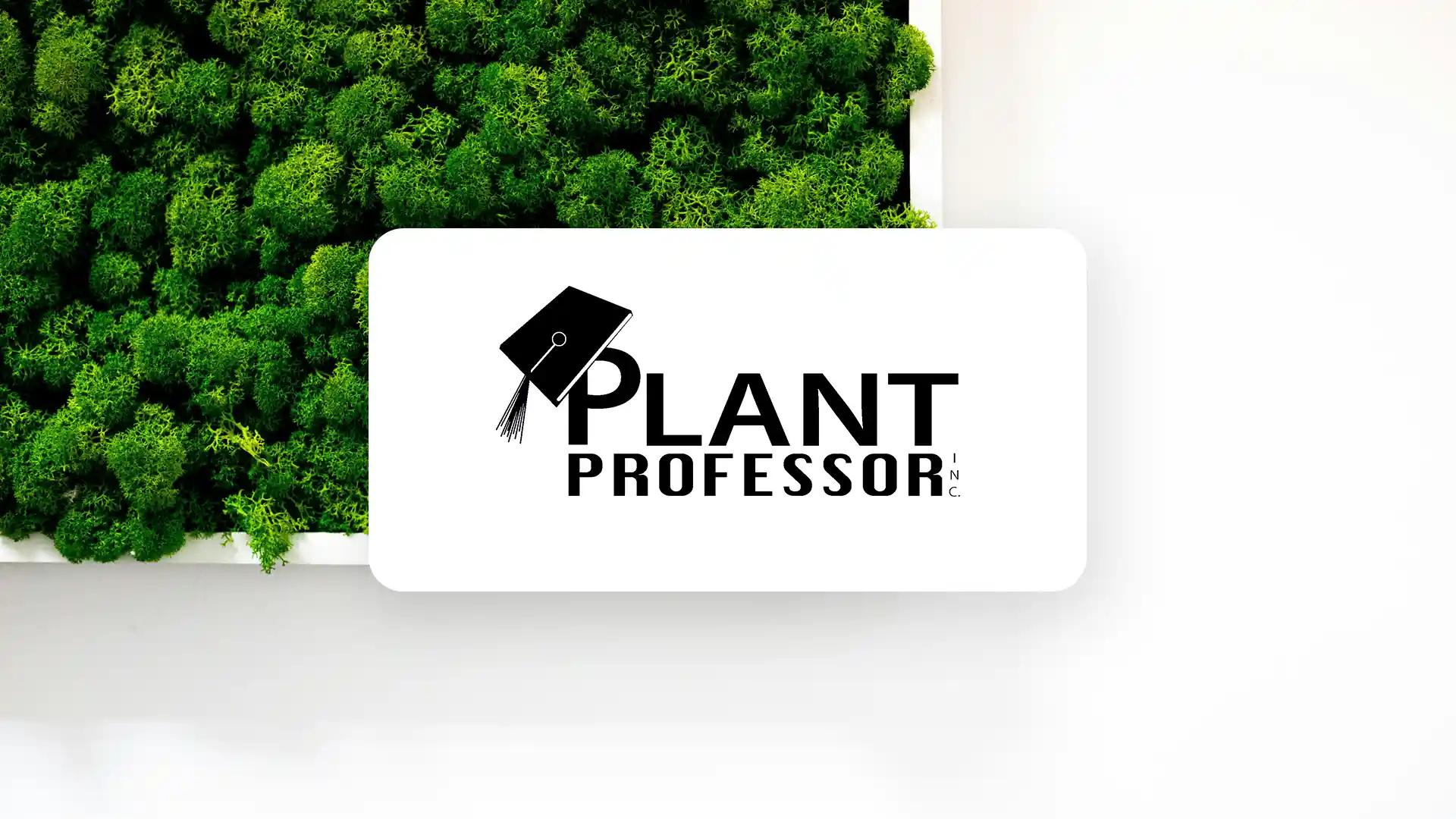 The Plant Professor logoin front of a moss wall in an office space