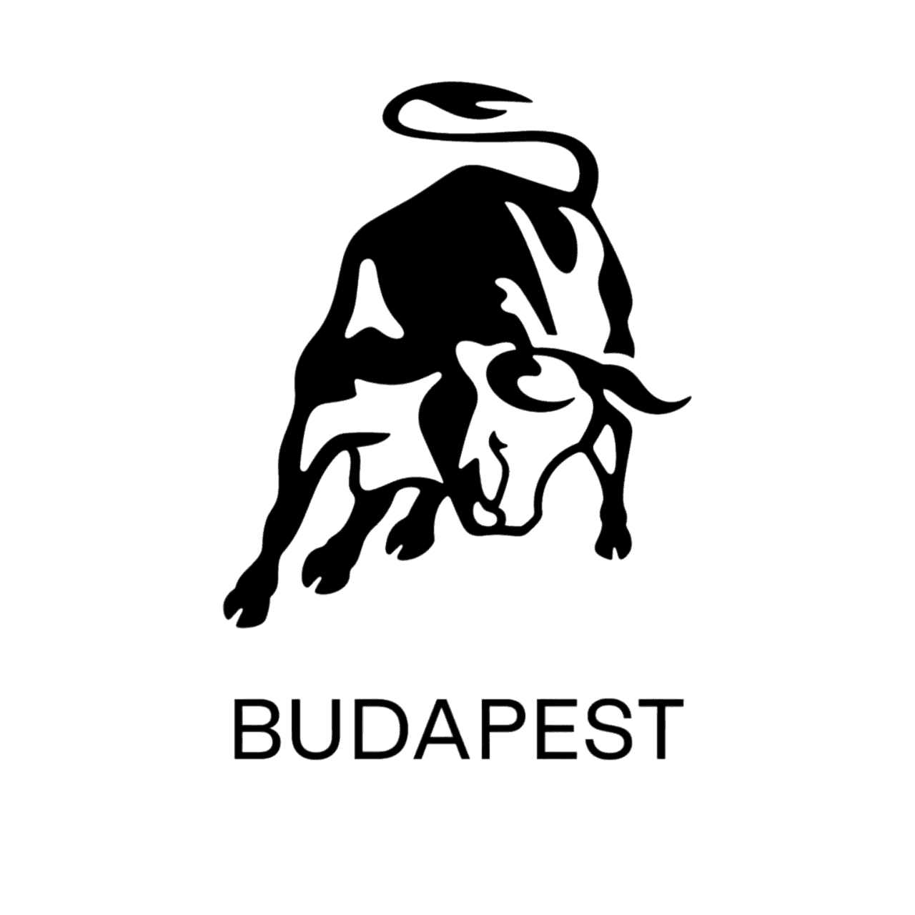 Partnerünk logója, BMW Wallis Motor Pest