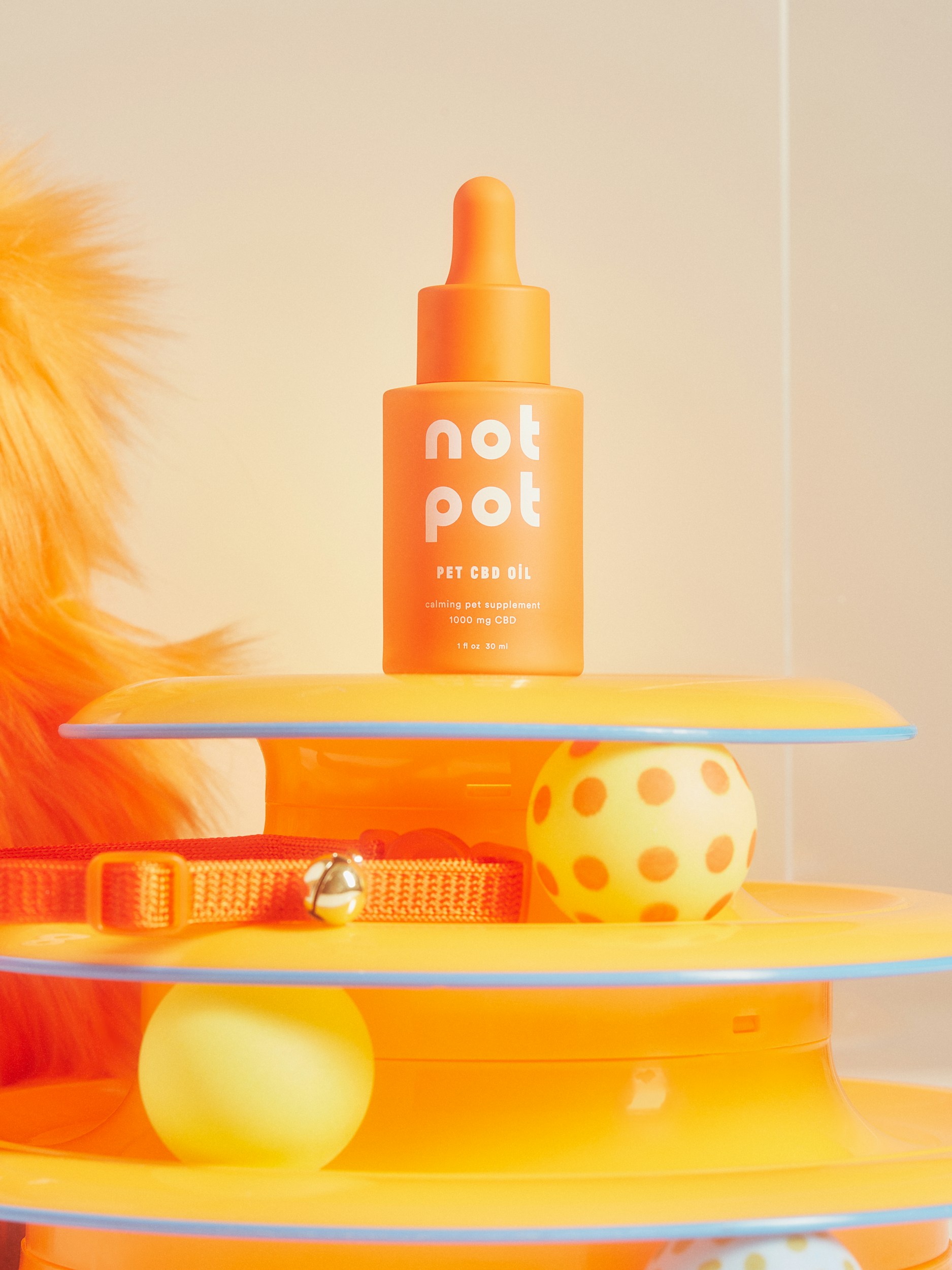 Advertising image sample