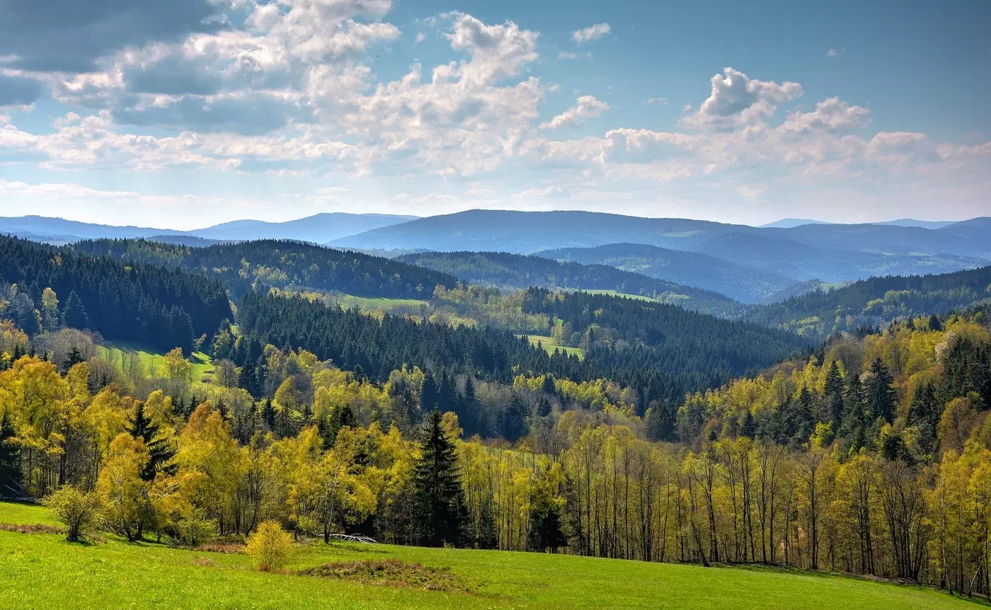 Here comes the alt text