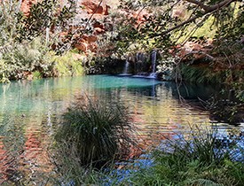 Swimming spot Fern Pool