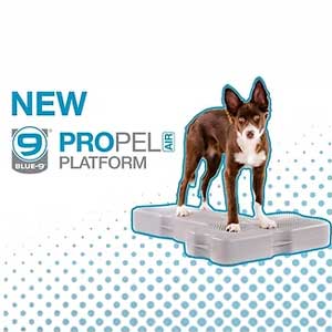 blue-9 pet products propel platform