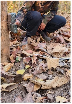 Final adjustment of camera height and sensor direction to maximise wildlife detection.