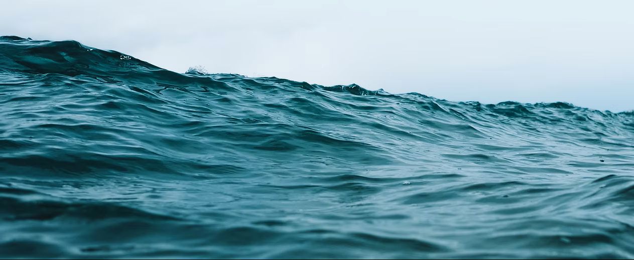 Hankintajuristit Baltic Connector Oy