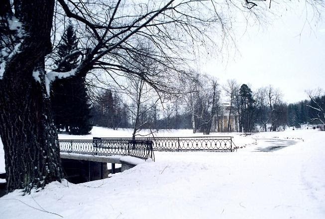 A park full of snow