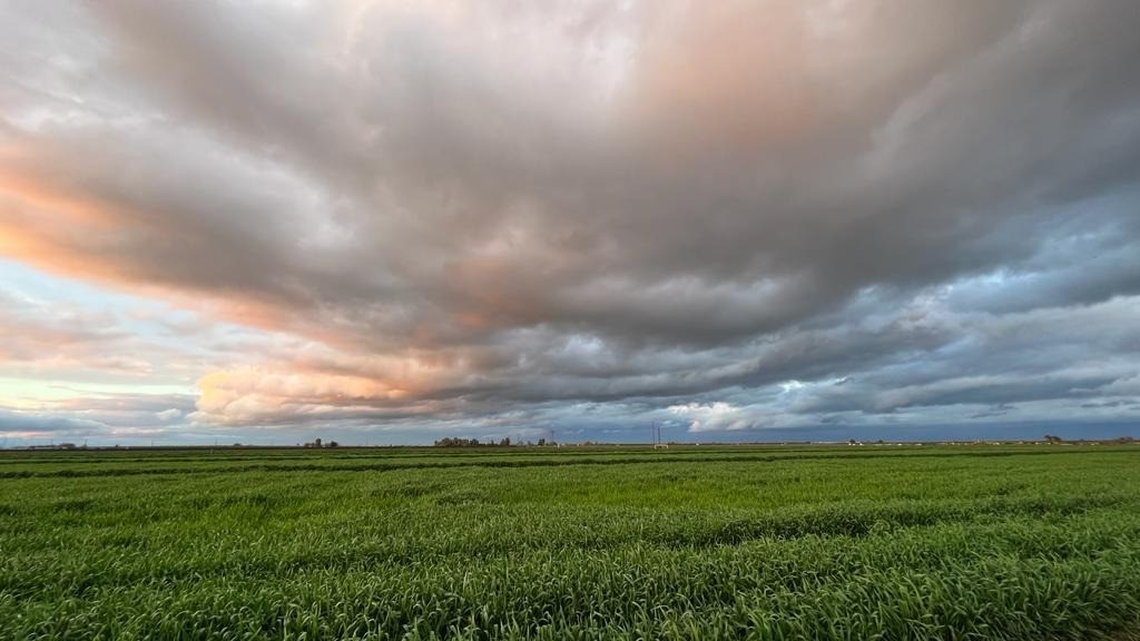 Summer 2025: Major Updates to the H-2A Program