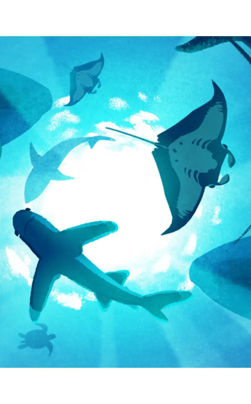 illustration showing a scene of sharks swiming from underneath