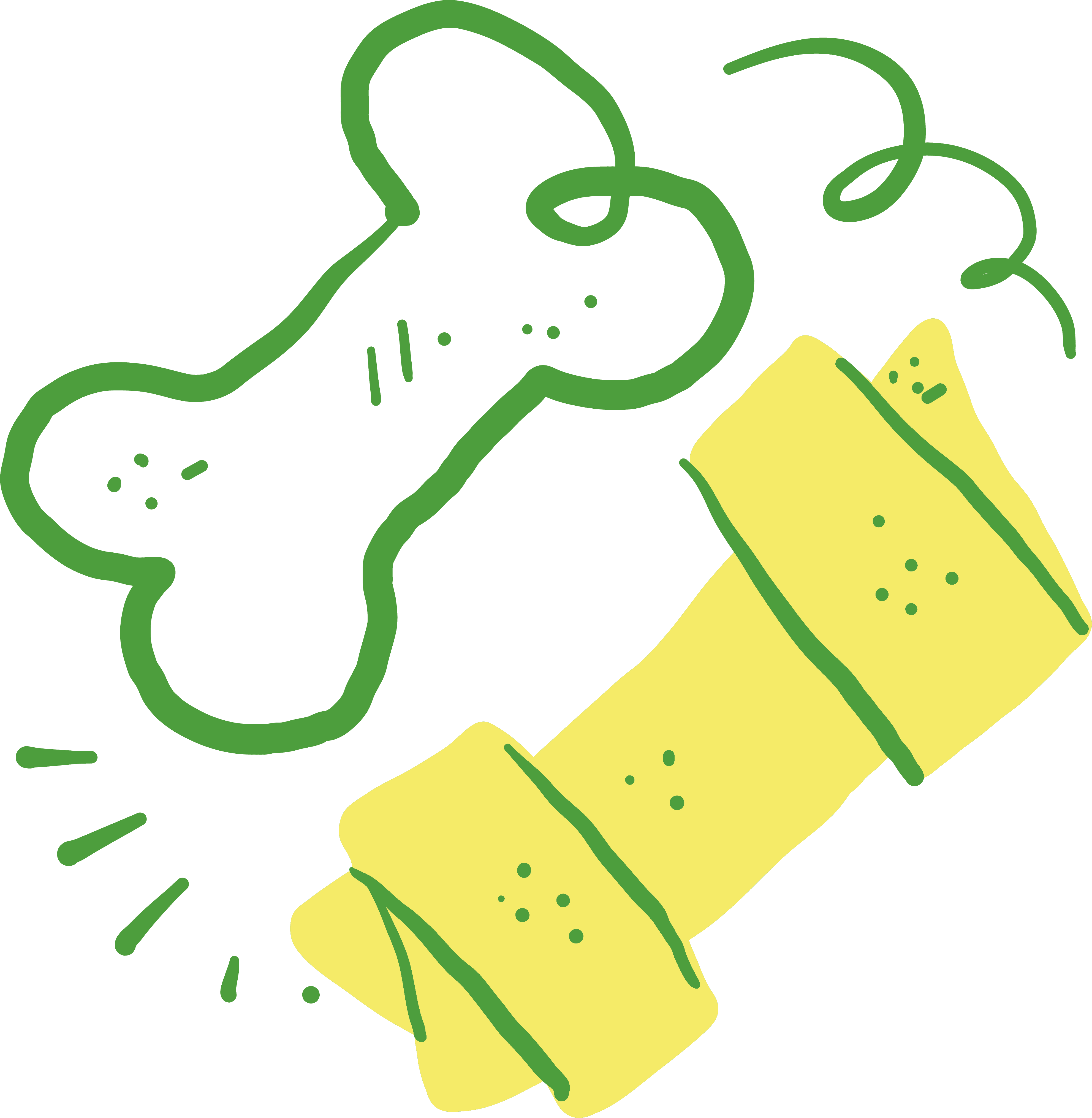 Two types of dog bones