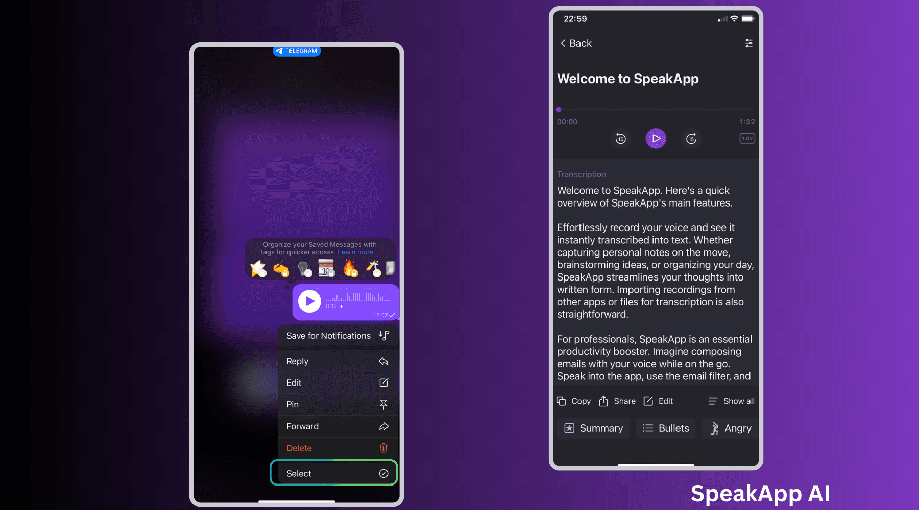 Translate Telegram Voice Message