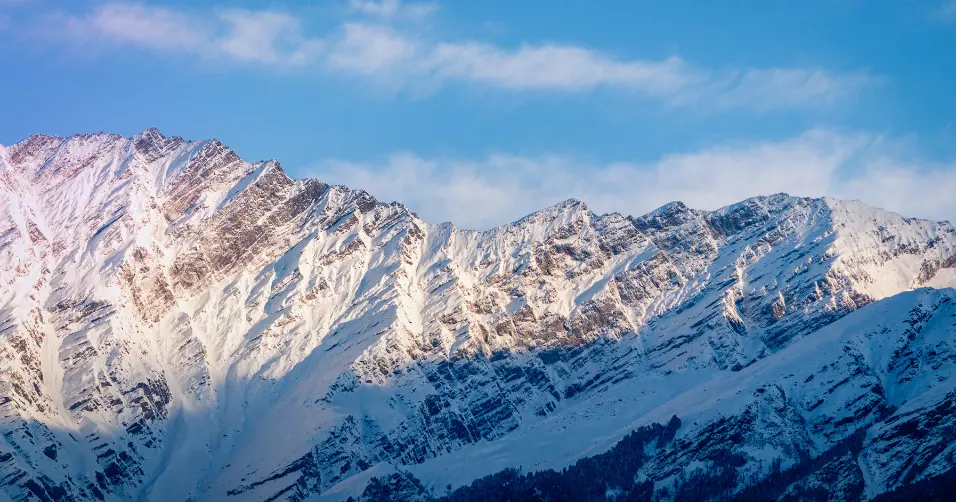 Shilajit is a natural resin rich in minerals that may support energy and testosterone.