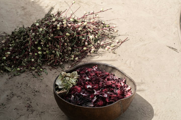 Dried flowers in a market setting; illustrative commodity photography