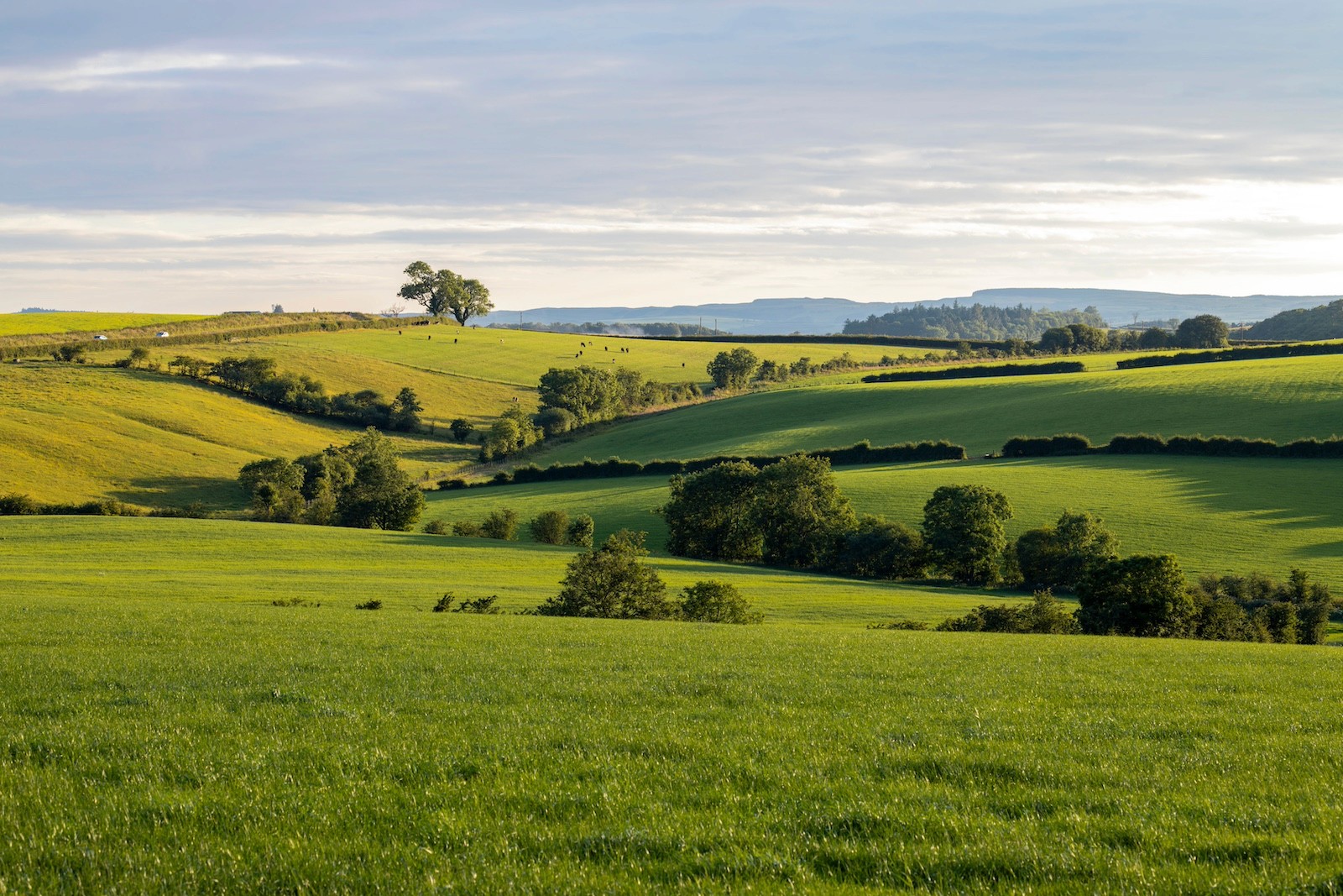 Structured countryside fields and boundaries representing organised wealth, stewardship, and long-term planning in the United Kingdom