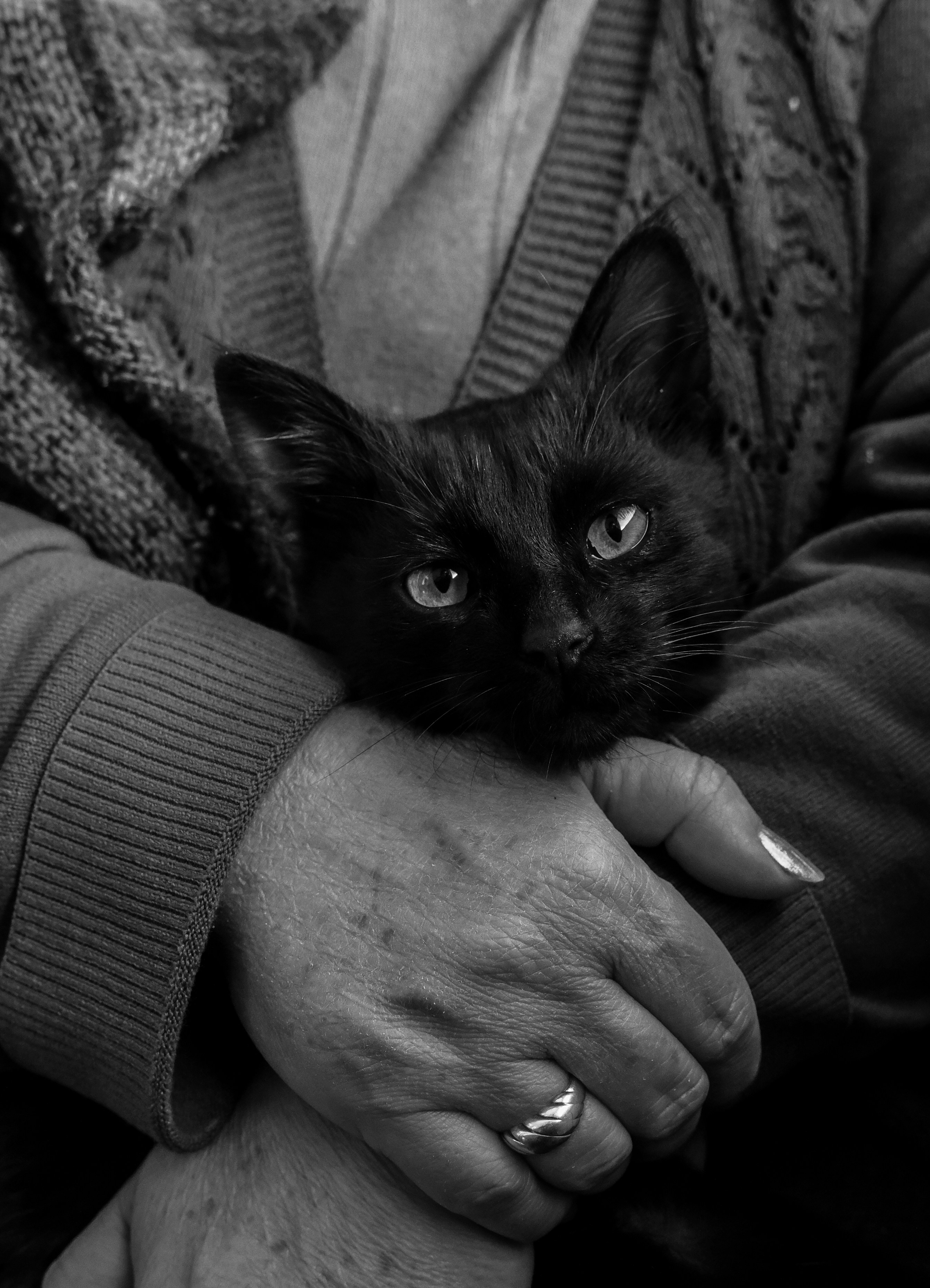 a woman holding a black cat in her arms