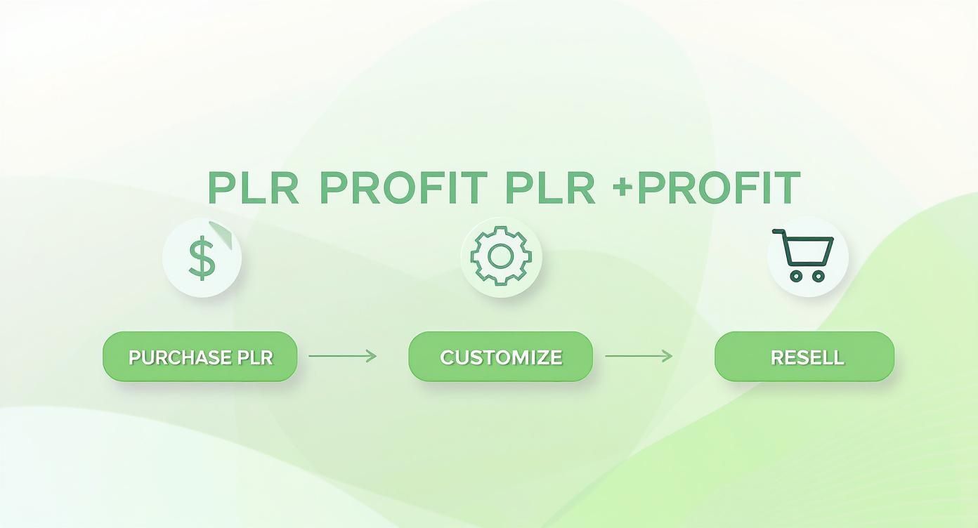 Flowchart illustrating the PLR profit process with steps: Purchase PLR, Customize, and Resell.