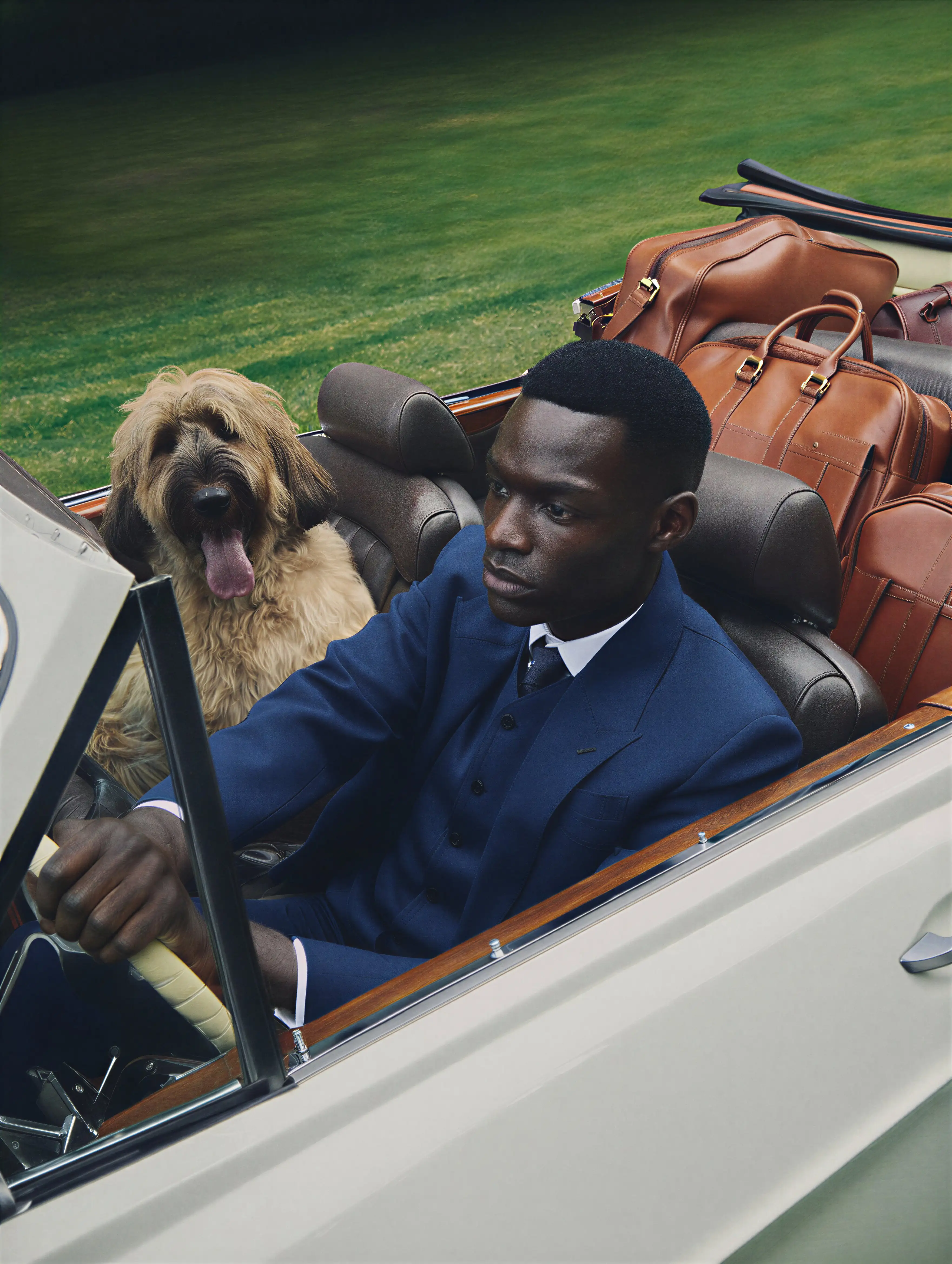 A brown hawk perched on a surface with blurred background.