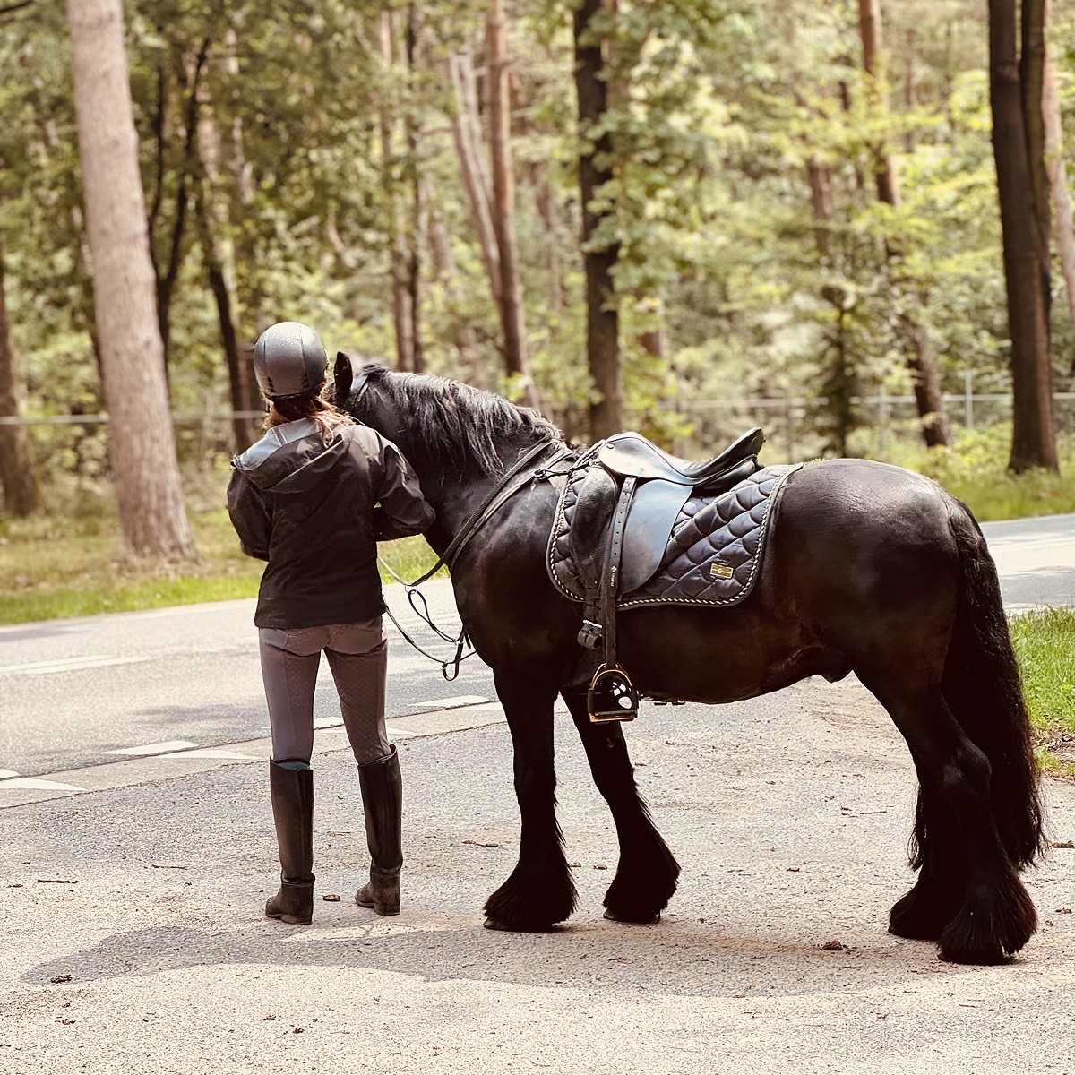 The image featured at the top of the about us page #2