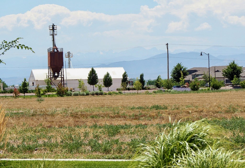 Field in Timnath with white outbuilding and red grain silo in the background.