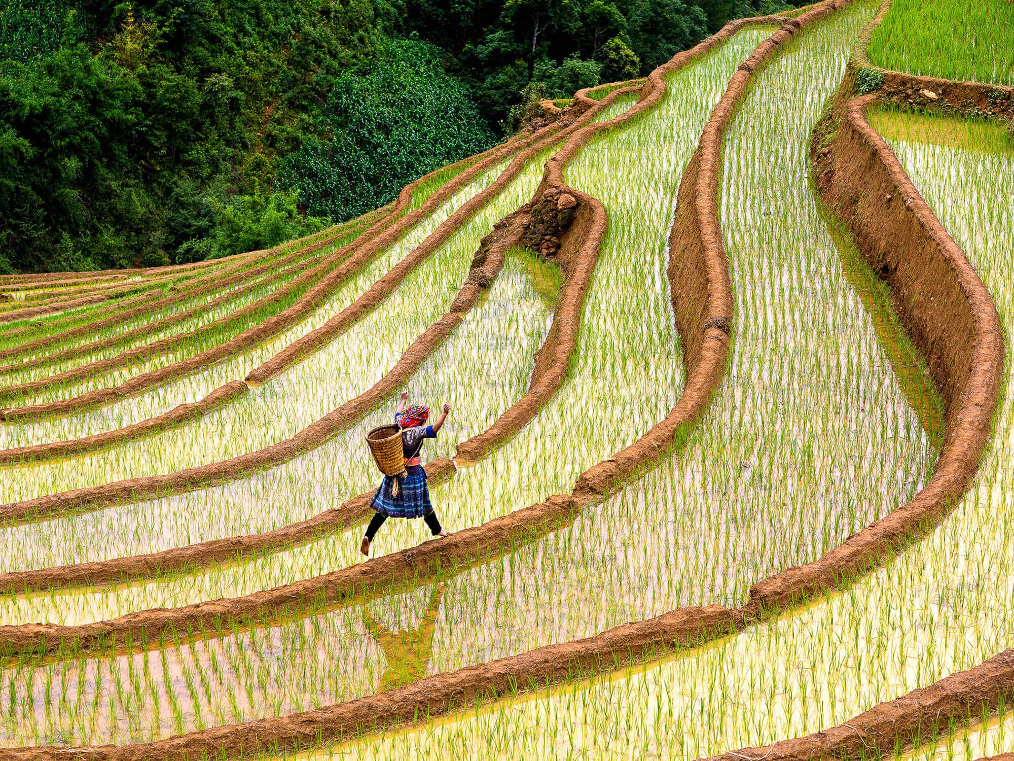 Leap of Joy: A Rainy Afternoon in Vietnam