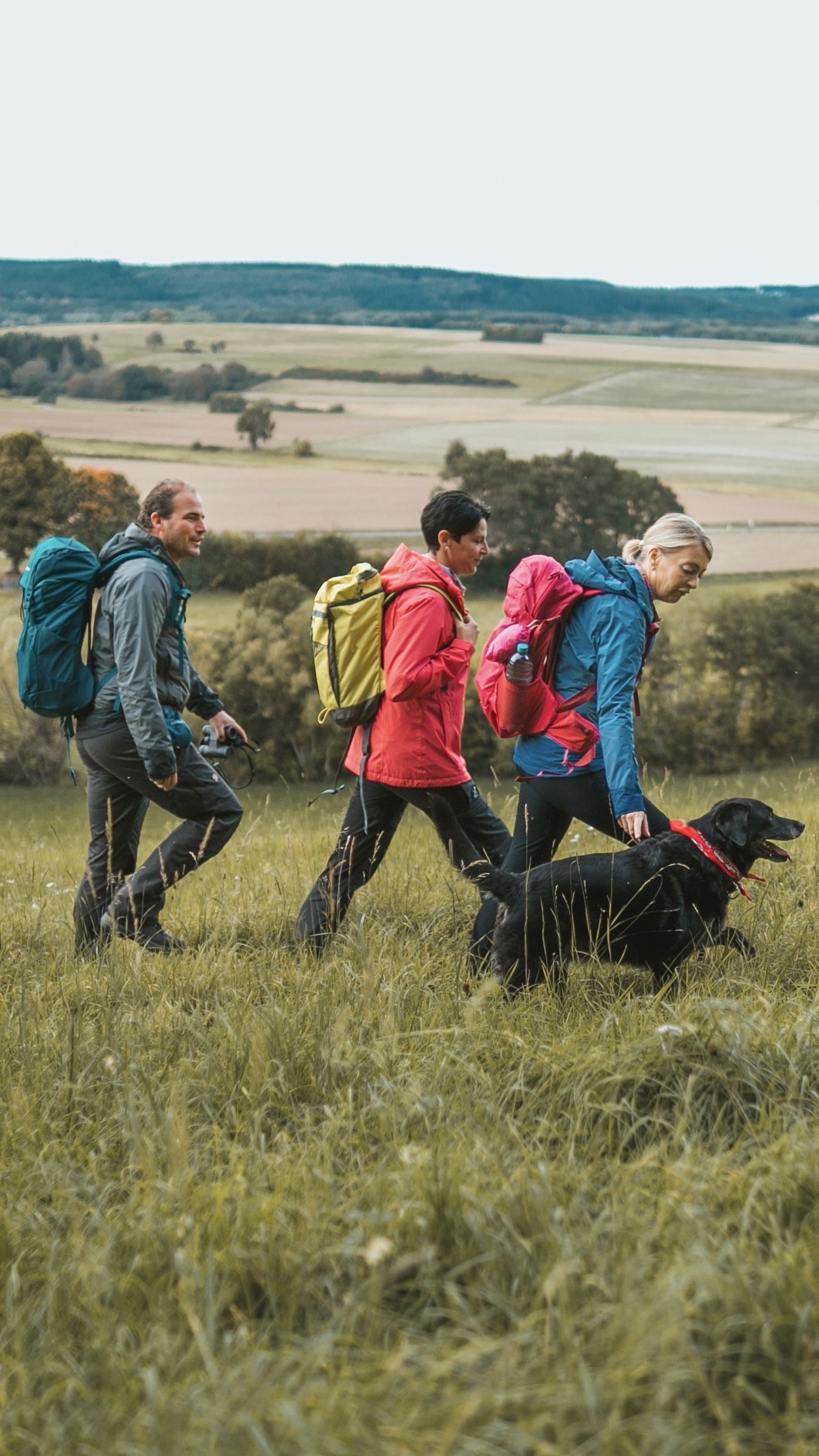 Wanderung mit Hund auf der Traumschleife Stumm-Eisenhütten-Weg über Felder