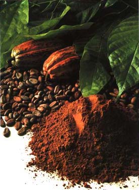 cacao_bean_to_powder_b98f