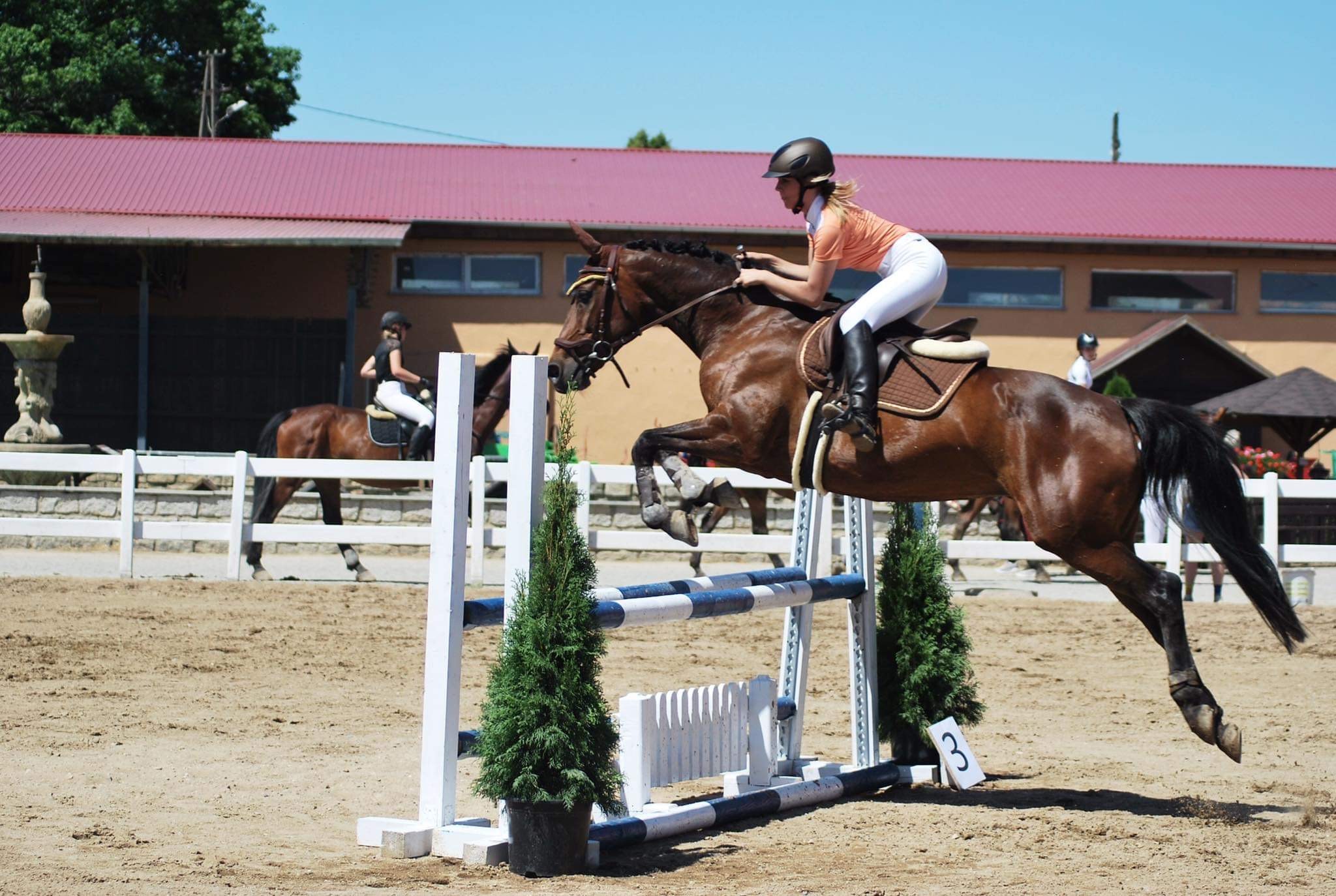 2016 Taloubet Z en Christian Ahlmann Rio@Arnd Bronkhorst