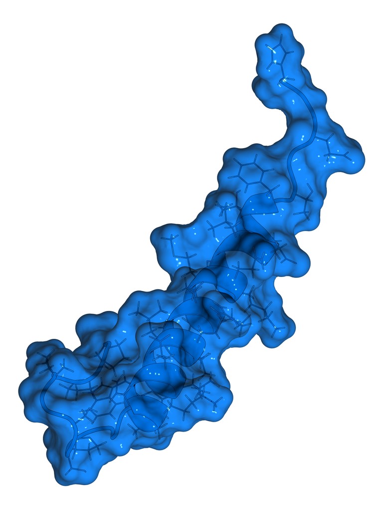 a group of orange and red objects floating in the air