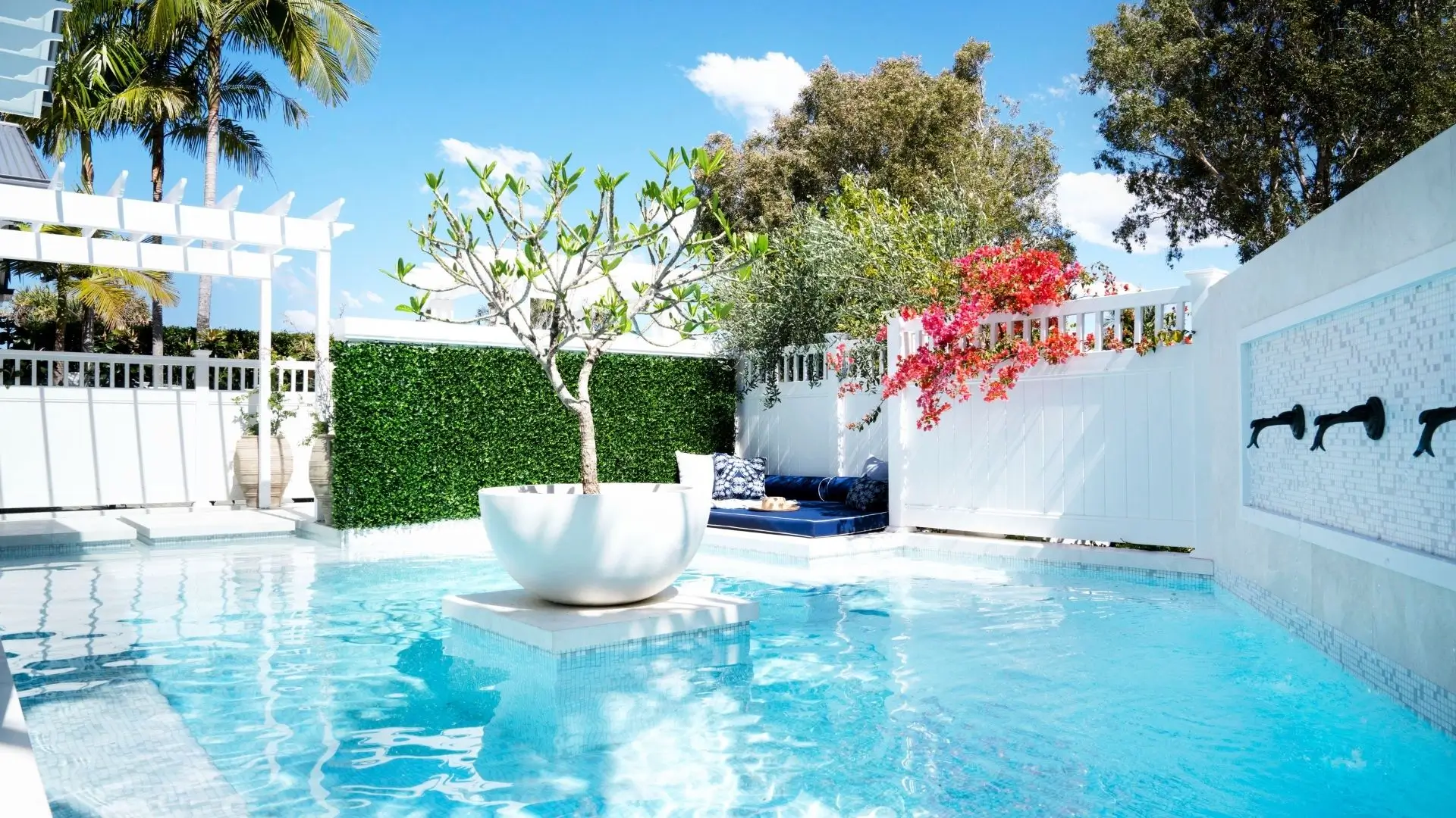 Large pool in this Queensland home with a central potted plant as a feature