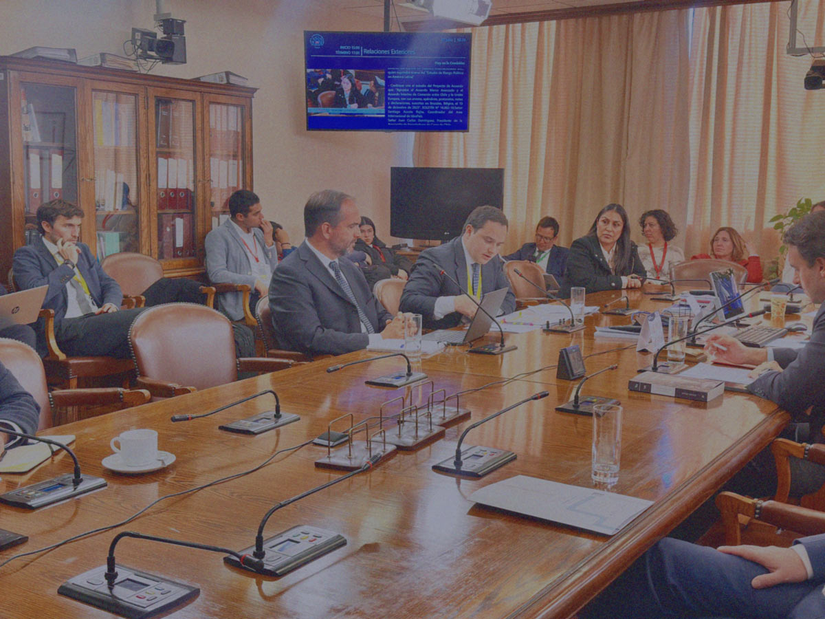 Integrante del área internacional de IdeaPaís expone ante parlamentarios en una comisión en el Congreso.