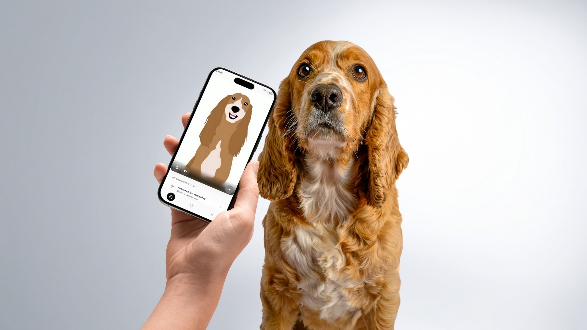 A group of four people engaged in a discussion while seated in a cozy, plant-filled setting.