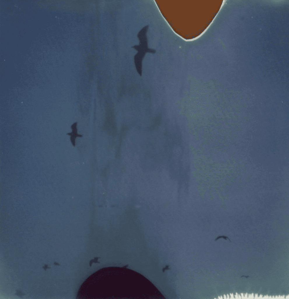 Art, photograph 19
