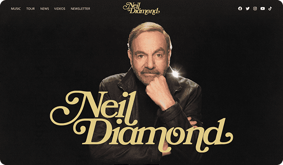 Screenshot of Neil Diamond website