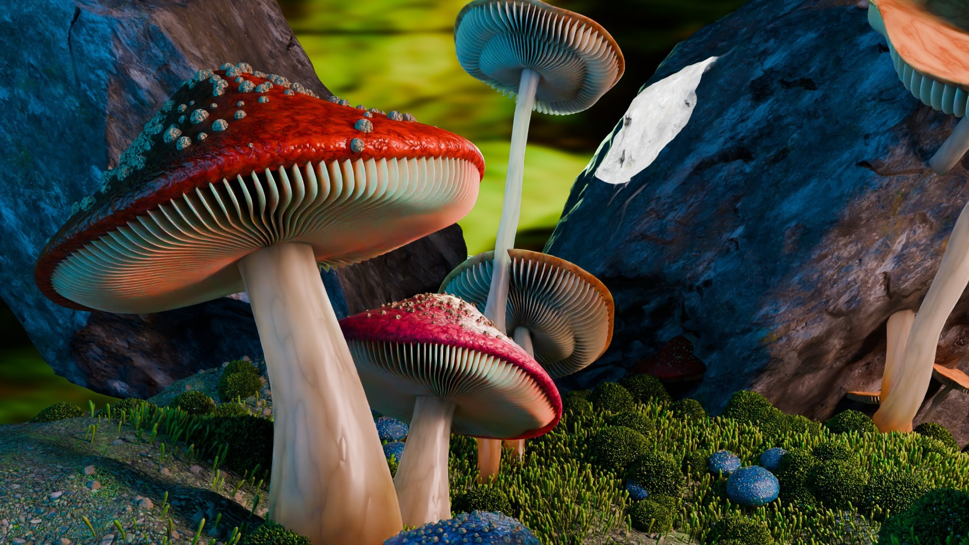 🍄