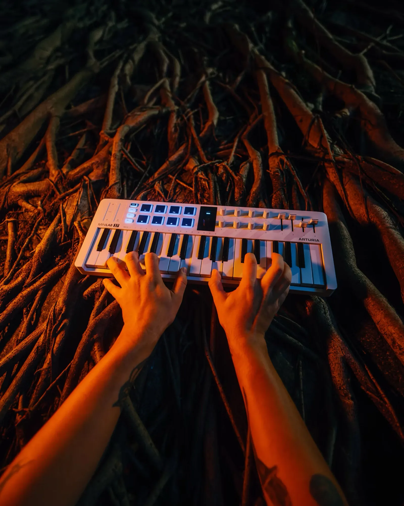 Arturia MiniLab 37 — project image 04 by Roman Olinchuk. 香港攝影、創意影像及視覺敘事作品。