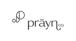 Noodl logo