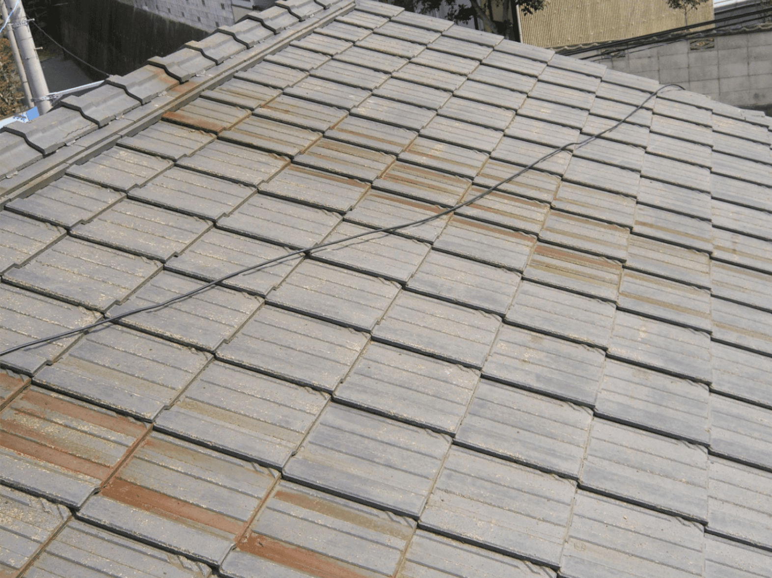 カビ・コケが発生している