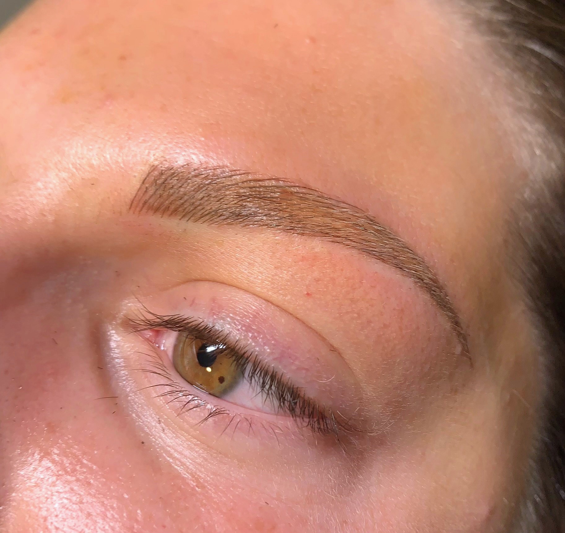 Close-up of a freshly microbladed eyebrow with natural hair-like strokes, enhancing shape and fullness.