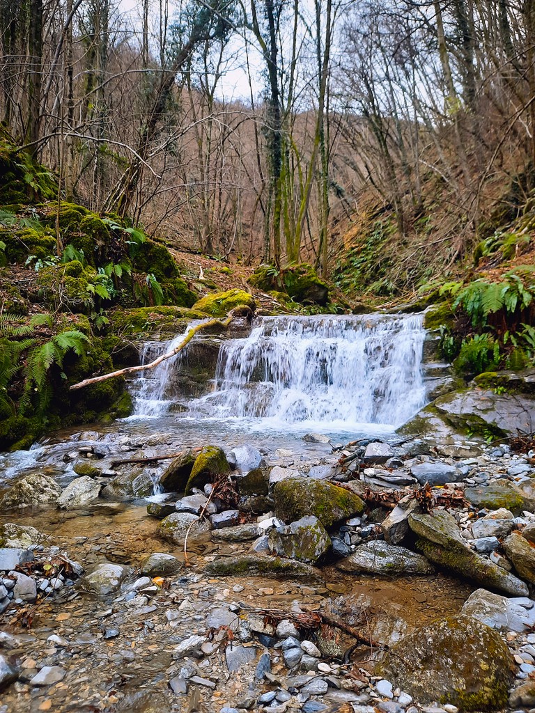 waterfall in the woods