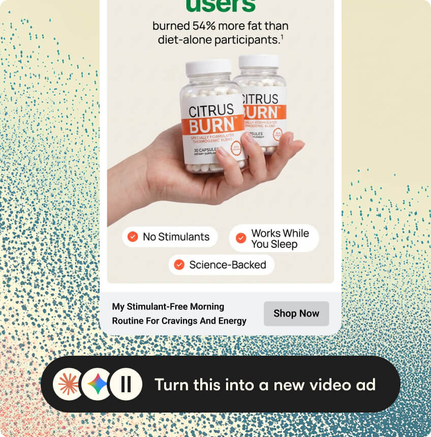 example of a brief made with admove ai