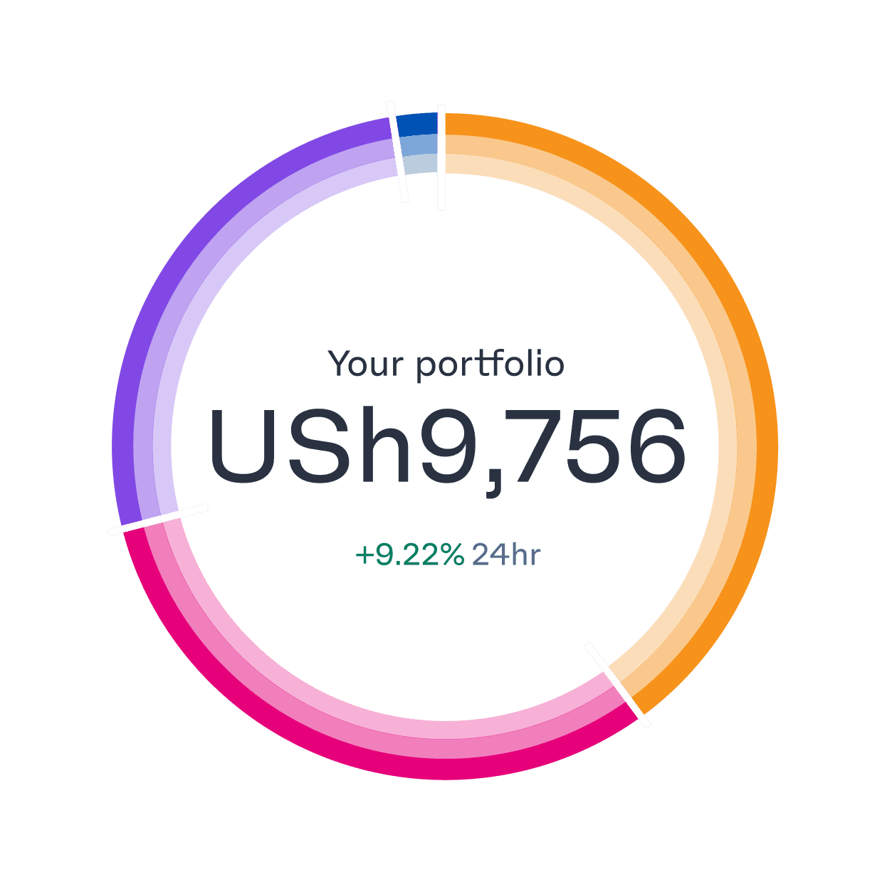 portfolio-ring-breakdown