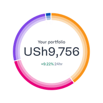 portfolio-ring-breakdown