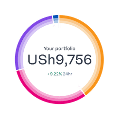 portfolio-ring-breakdown