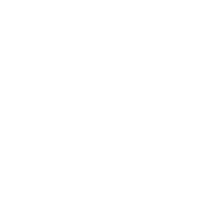 Decoration Icon