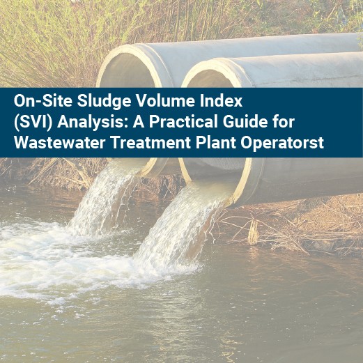 On site sludge volume index analysis
