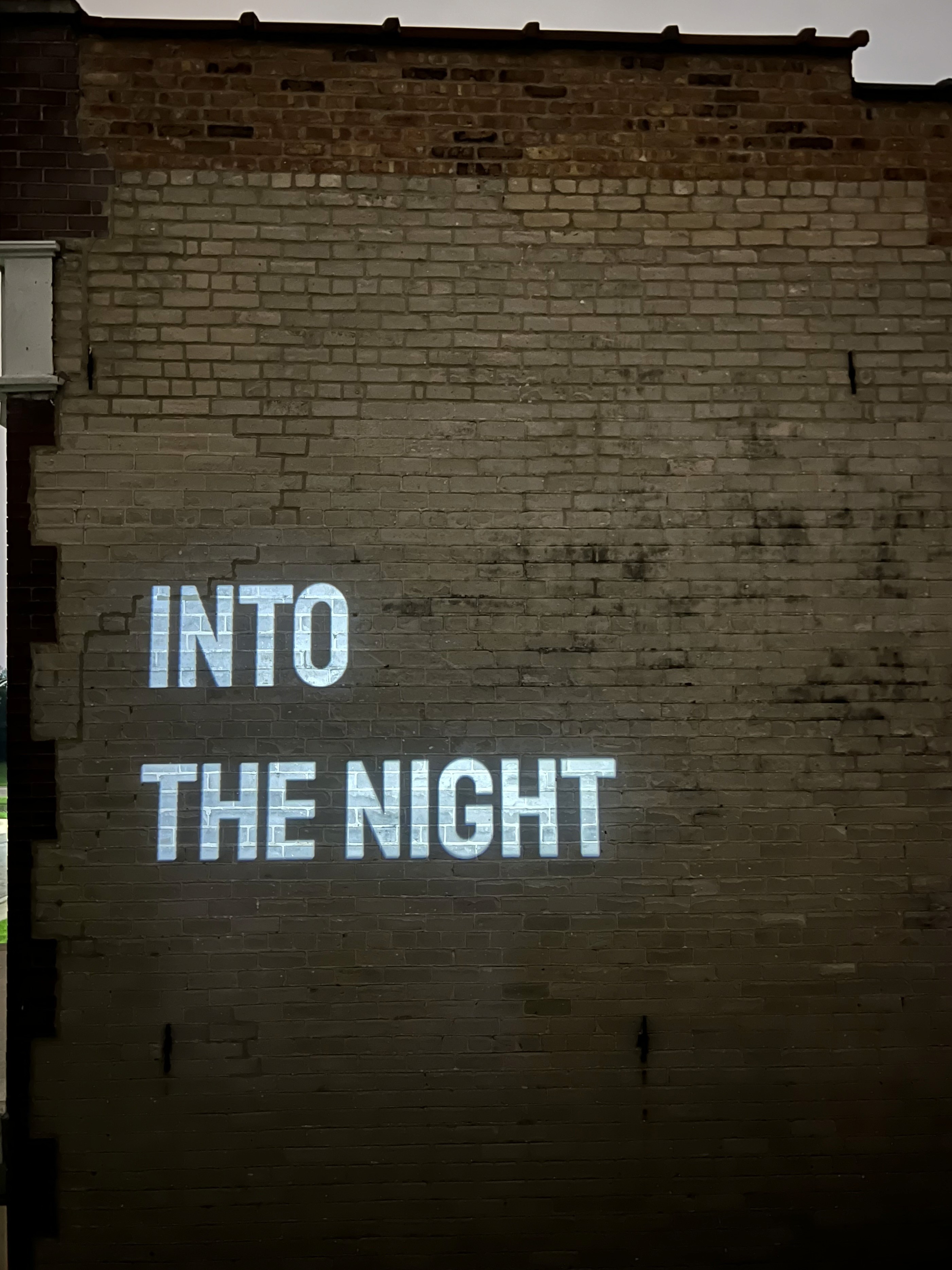 INTO THE NIGHT // Joshua L.