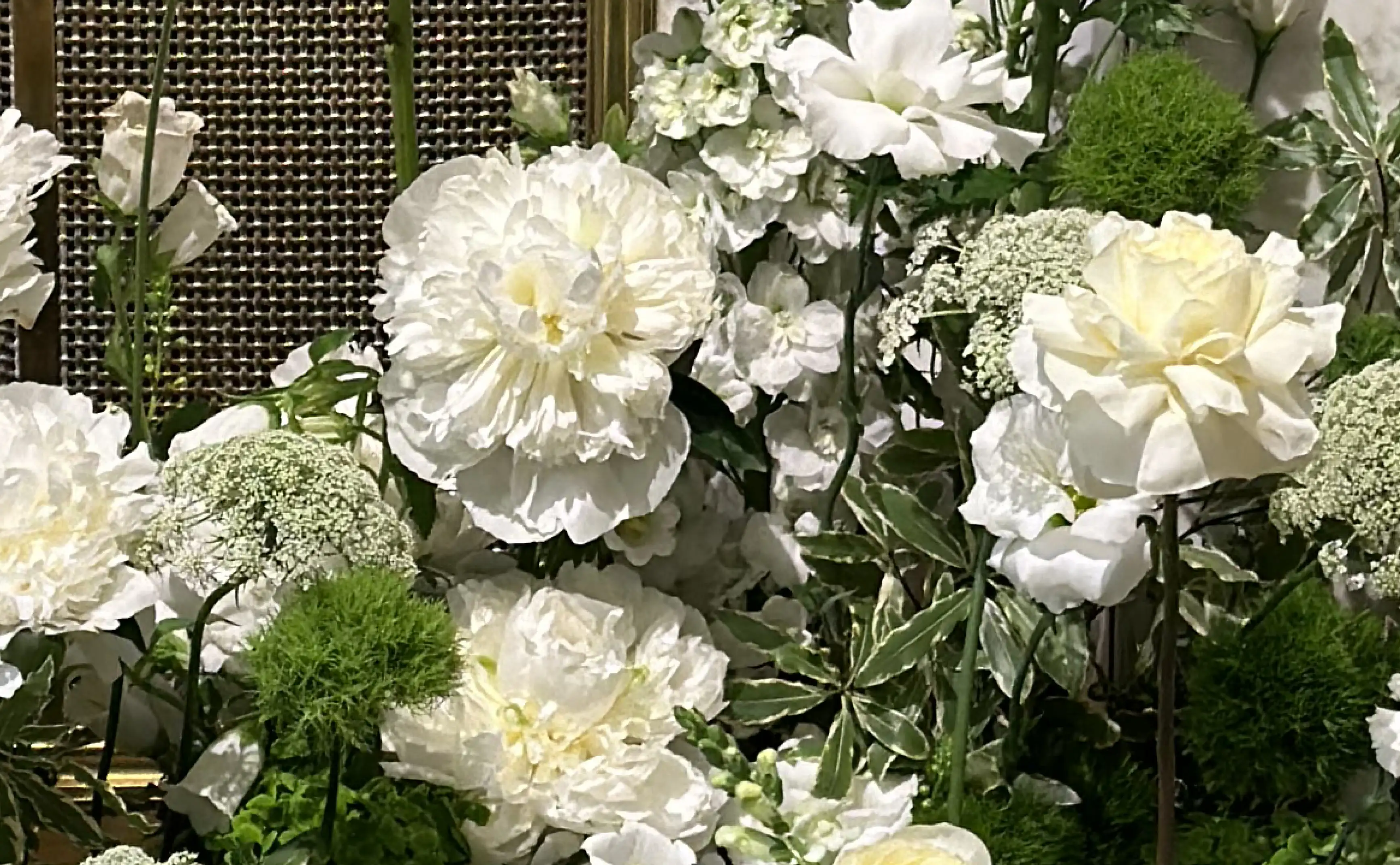 Primer plano de flores blancas con texturas suaves y verdes naturales para diseño botánico equilibrado y sereno.