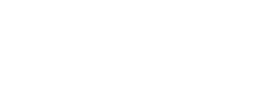 The Regulation and Quality Improvement Authority logo
