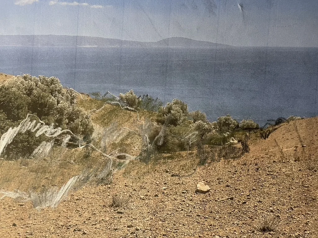 vista del terreno