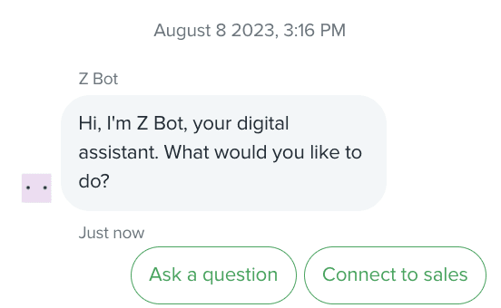 Opening Spiel for Chat Support Example - Zendesk