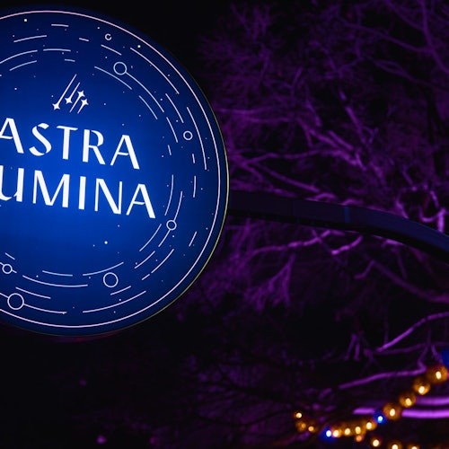 أسترا لومينا في ملاذ كورمبين للحياة البرية