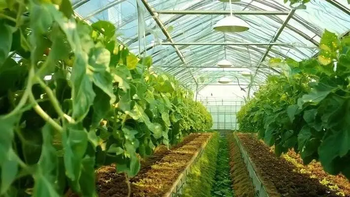 <img src="black-rocks-seashore.jpg" alt="A rugged sea shore with dark black rocks and gentle ocean waves washing over them">
